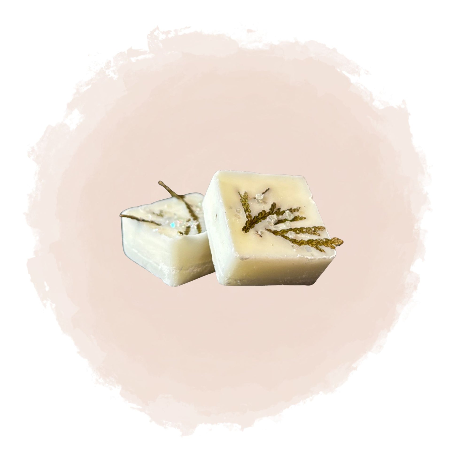 Två kvadratiska doftpraliner syns mot en beige bakgrund. Doftvaxen är dekorerade med kvistar av thuja . 