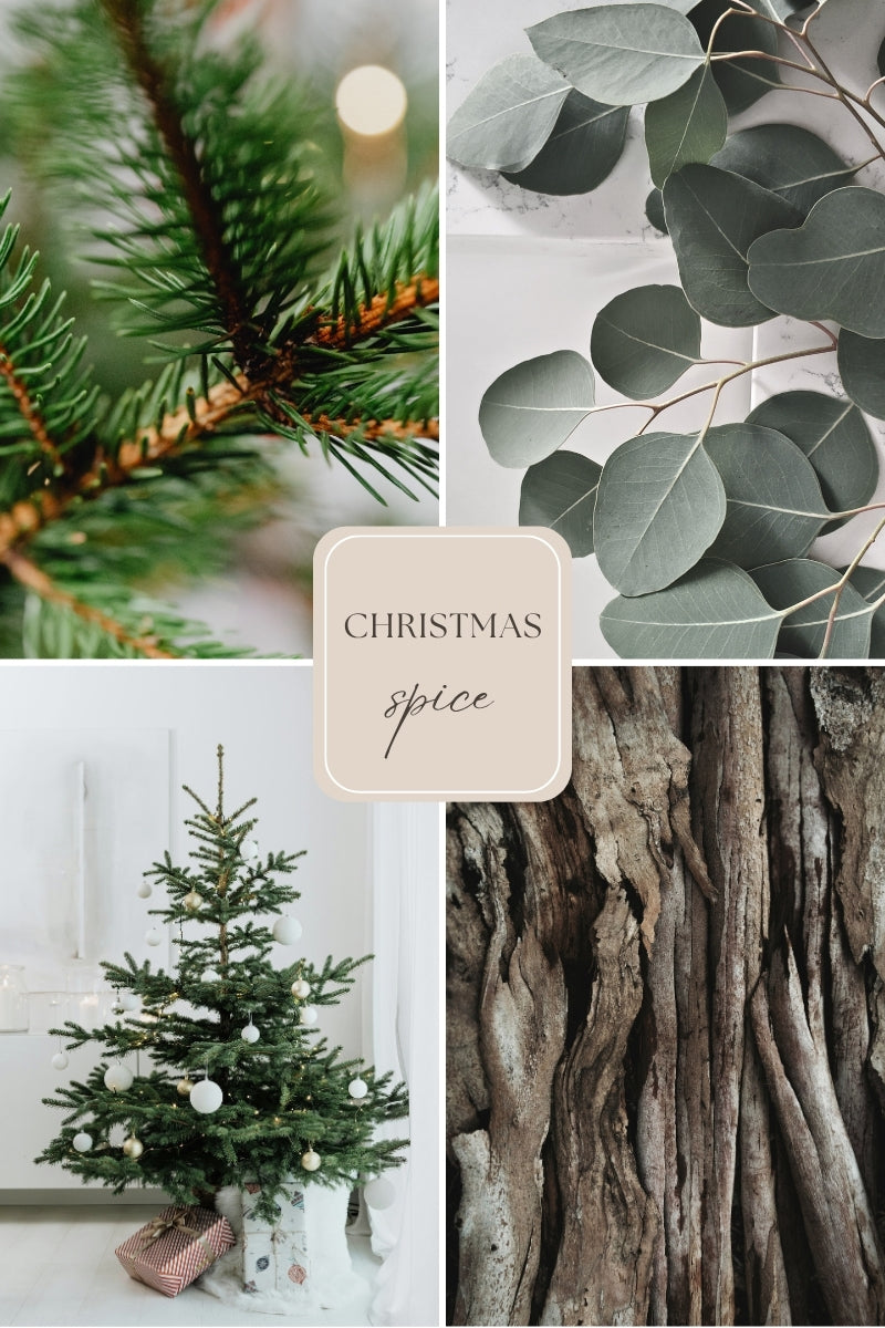 Dotvax – rödgran & sandelträ för aromalmpan –Christmas Tree (4 Doftpraliner™)