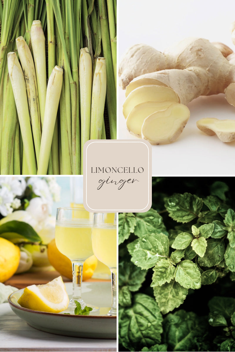 Doftljus i glasburk med guldlock – citron & ingefära – Limoncello ginger –Signature candle