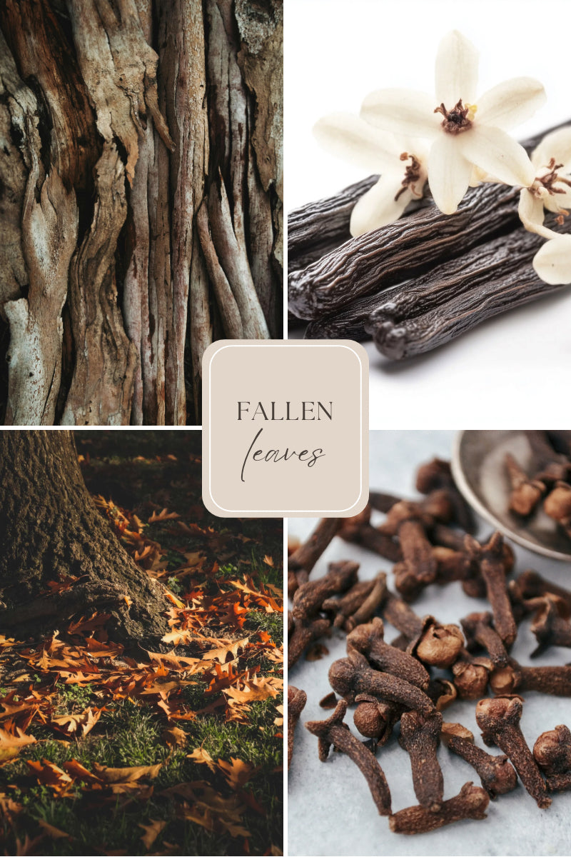 Doftljus i burk med träveke – sandelträ, vanilj & mysk – Fallen Leaves – Travel Candle