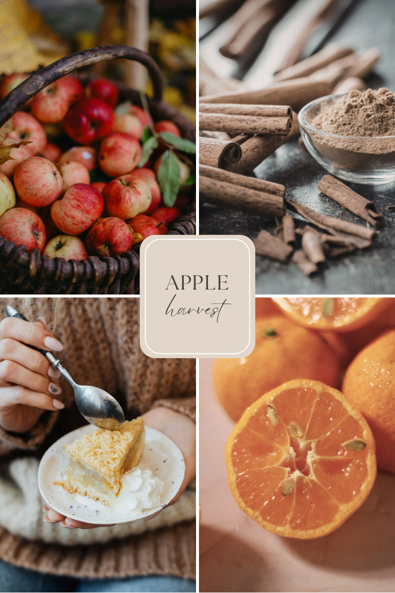 Doftvax – äpple, kanel & apelsin för aromalampa – Apple Harvest (4 doftpraliner)