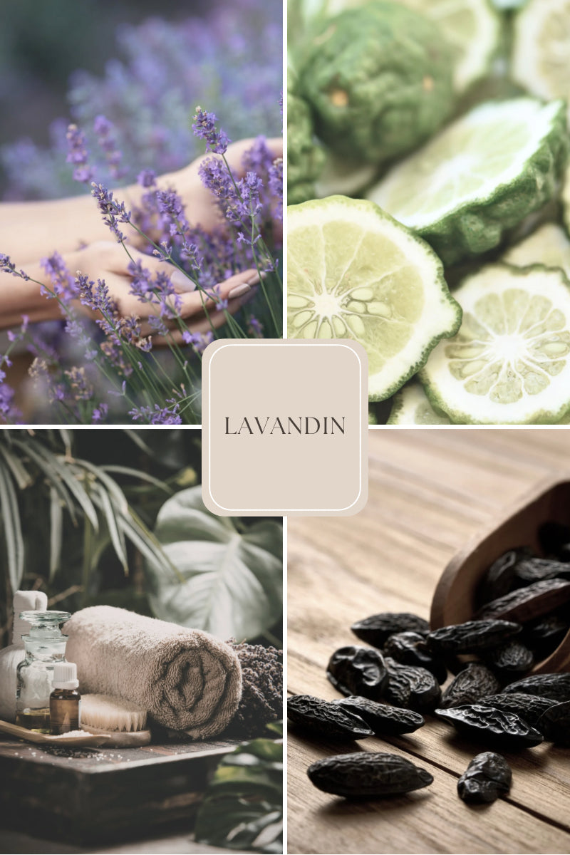 Doftvax  –lavendel & patchouli för aromalampa – Lavandin (4 doftpraliner)
