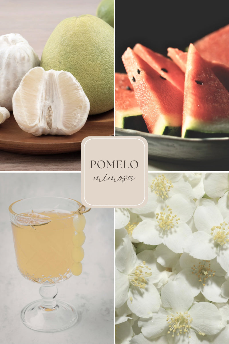 Doftvax – pomelo & vattenmelon för aromalampa – Pomelo Mimosa (4 doftpraliner)