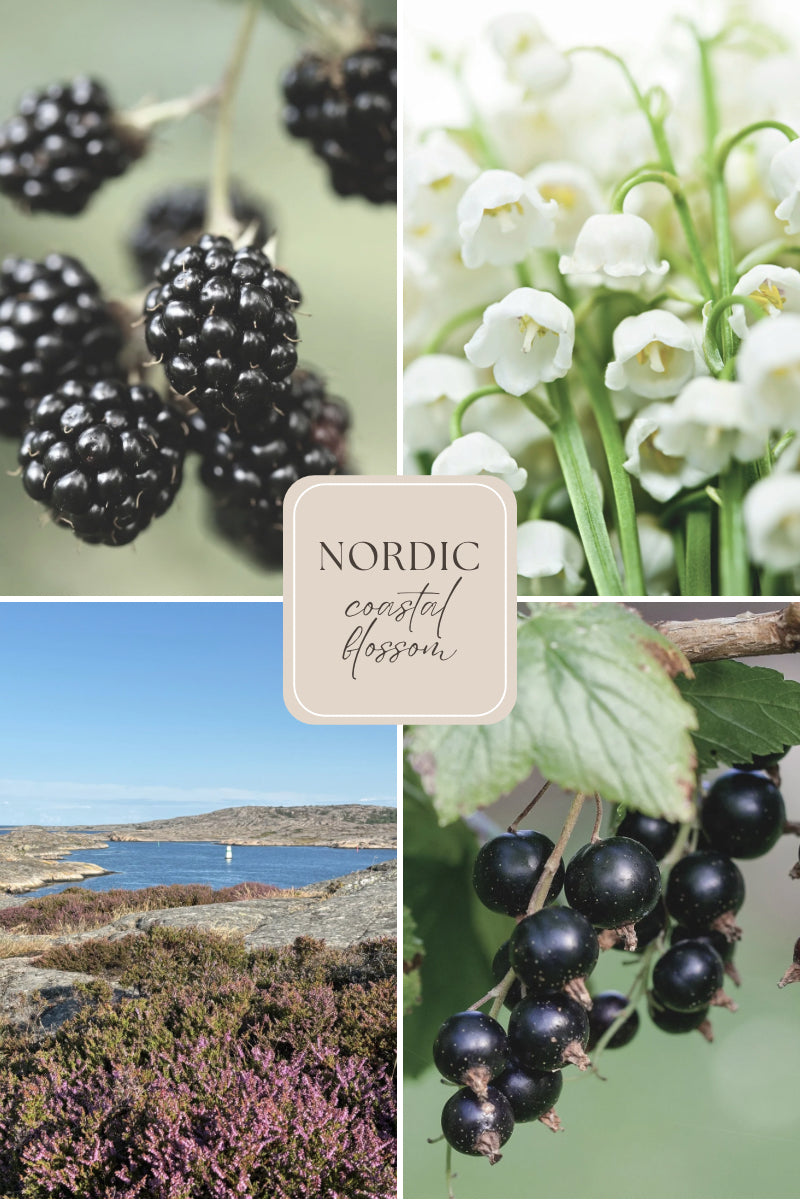 Doftljus i burk med träveke – björnbär & liljekonvalj – Nordic Coastal Blossom – Travel Candle