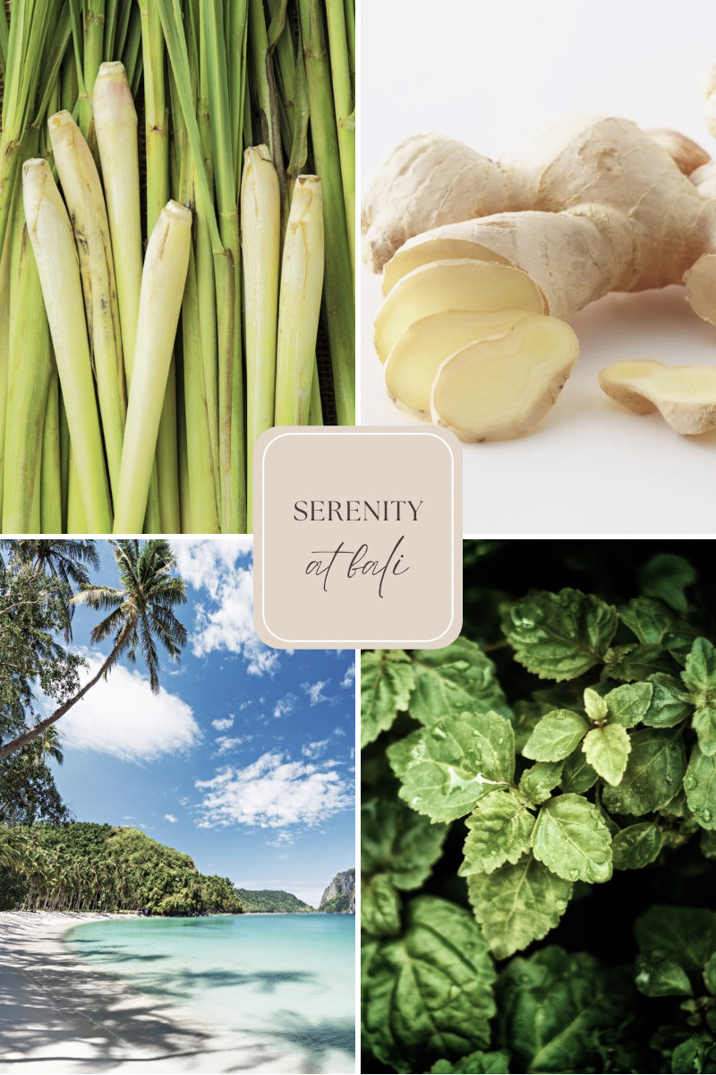 Doftljus i burk med träveke – citrongräs & ingefära – Serenity at Bali / Limoncello – Travel Candle