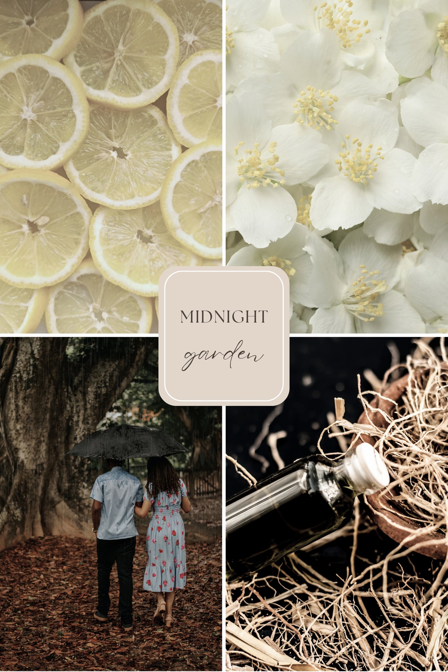 Doftvax – jasmin, citron & vetiver för aromalampa – Midnight garden (4 Doftpraliner™)