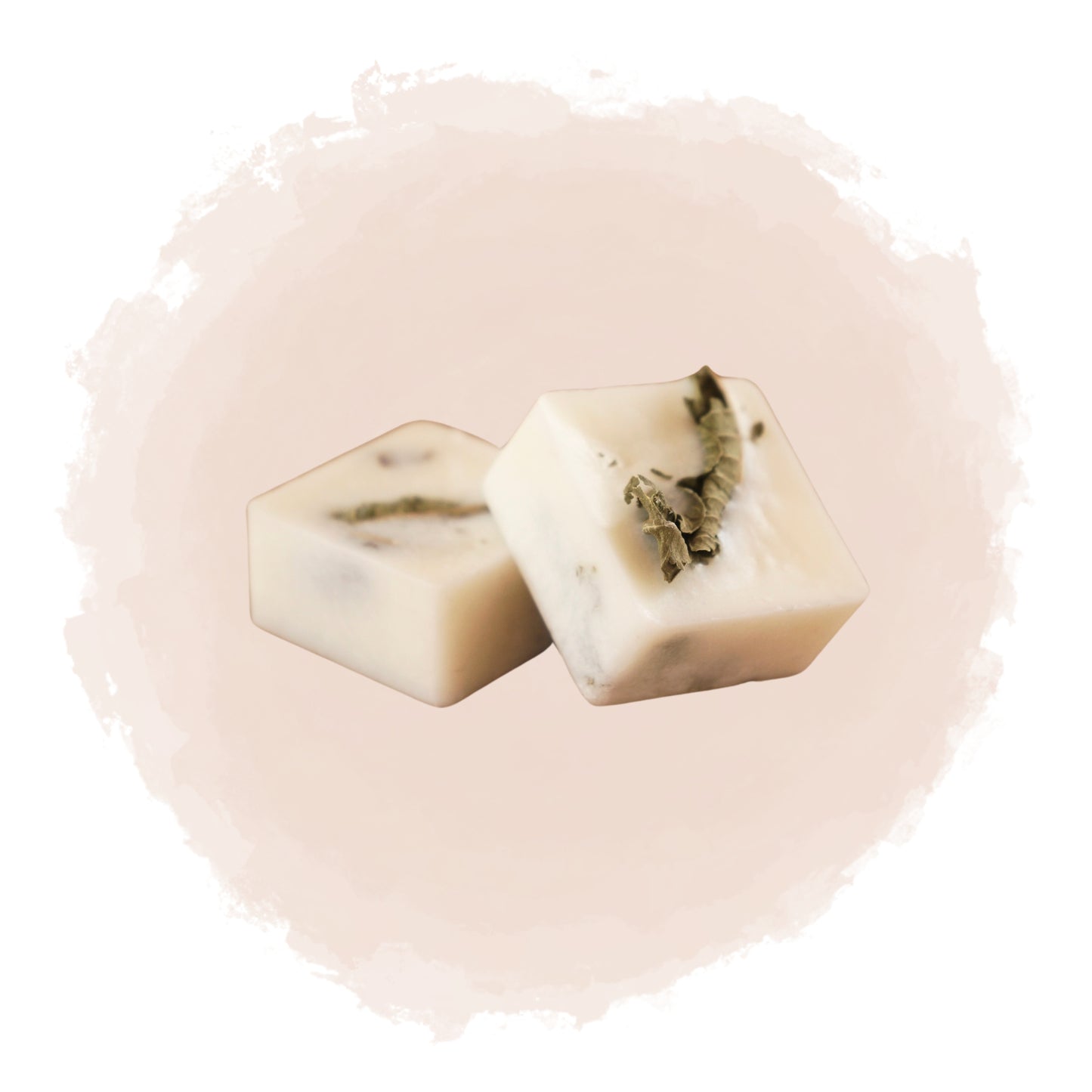 Kubisk doftprov med torkade gröna löv inbäddade i vitt vax