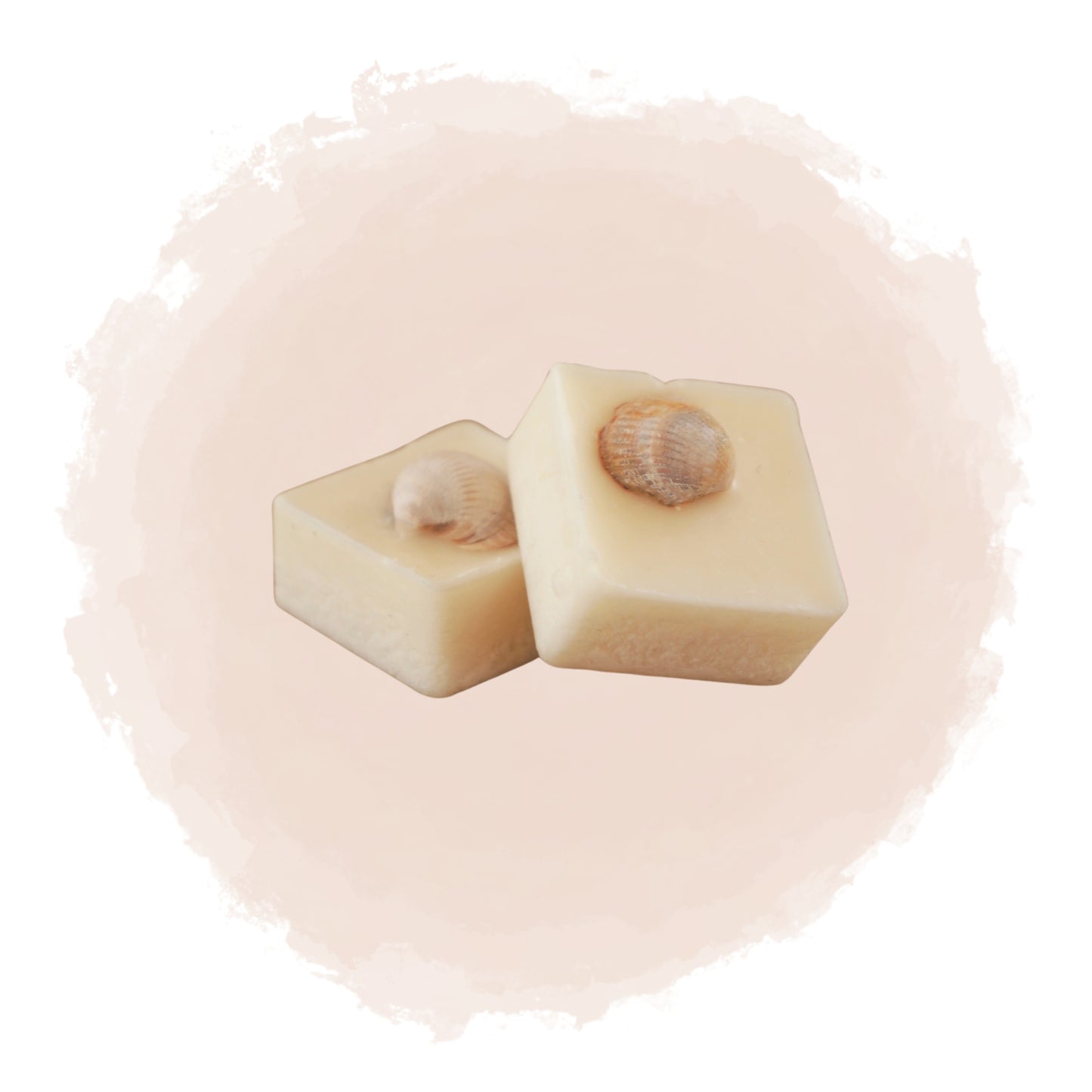 Kubisk doftprov med naturliga snäckskal inbäddade i vitt vax
