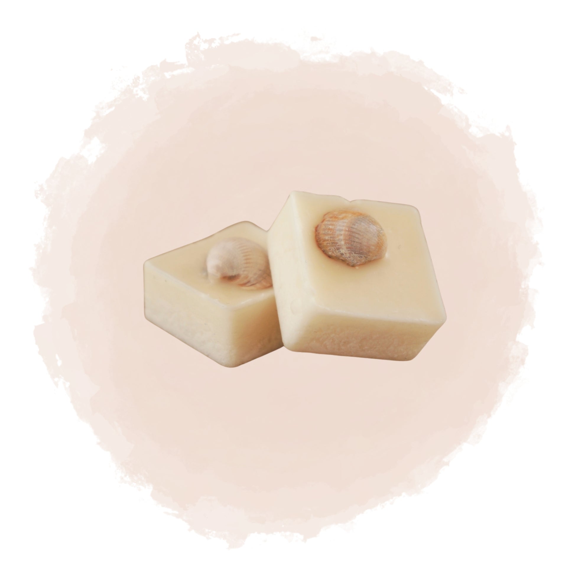 Kubisk doftprov med naturliga snäckskal inbäddade i vitt vax